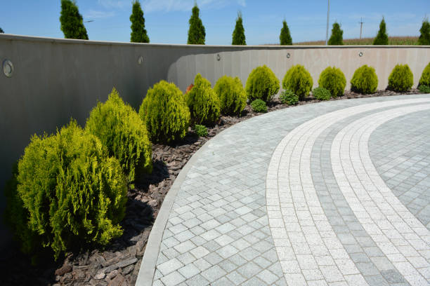 Best Best Driveway Pavers  in Hillsboro, ND